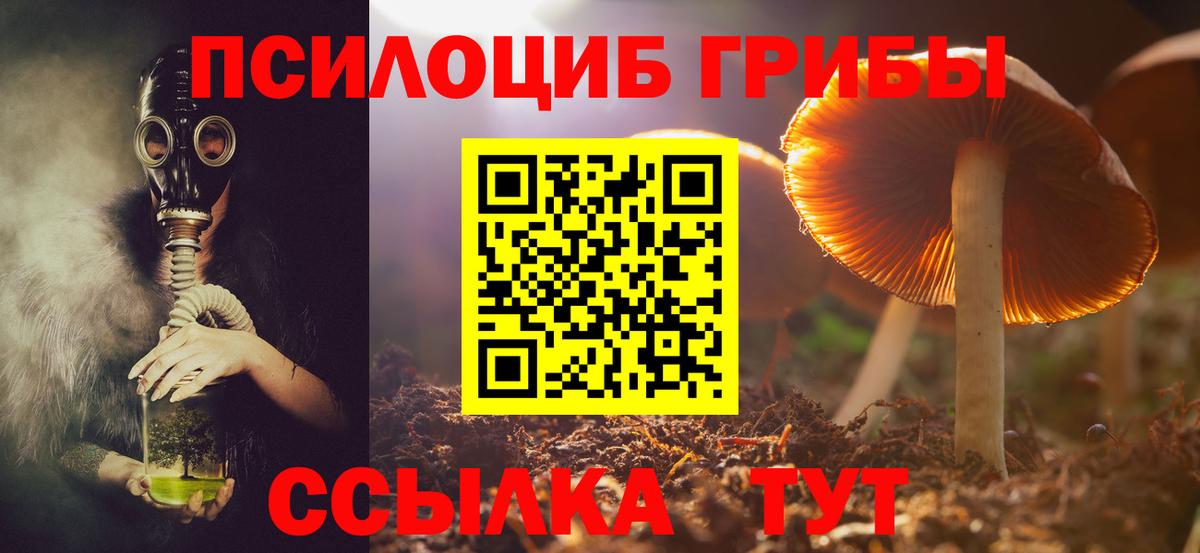 Нарткала  Галлюциногенные грибы GOLDEN TEACHER  Вход с VPN 