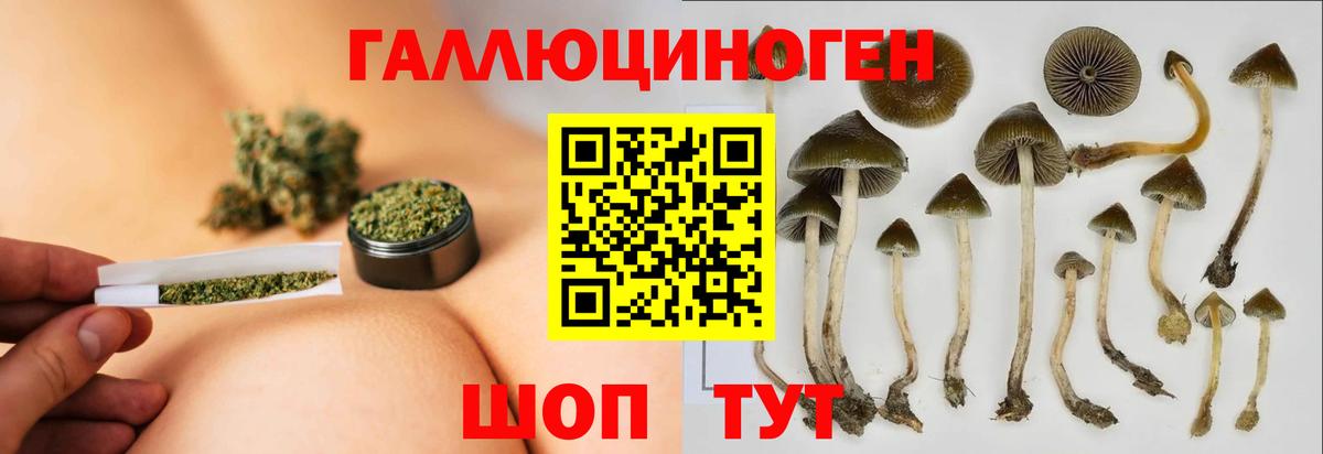 Галлюциногенные грибы GOLDEN TEACHER Нарткала